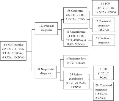 Frontiers | The Clinical Utility of Non-invasive Prenatal Testing for Sns-Brigh10